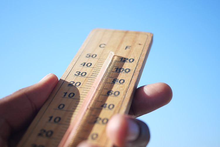 Copernicus adelanta que 2025 será el segundo o tercer año más cálido jamás registrado