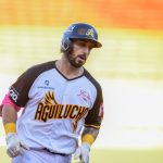Águilas imponen su dominio ante Estrellas y festejan con triunfo en el Cibao