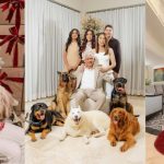 ¡Alerta ternura! Mascotas se adueñaron de postales navideñas