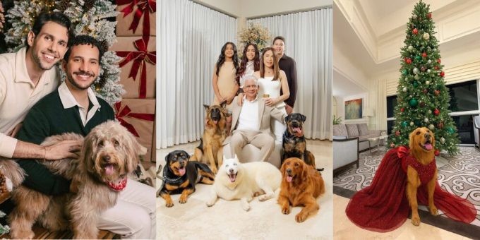 ¡Alerta ternura! Mascotas se adueñaron de postales navideñas