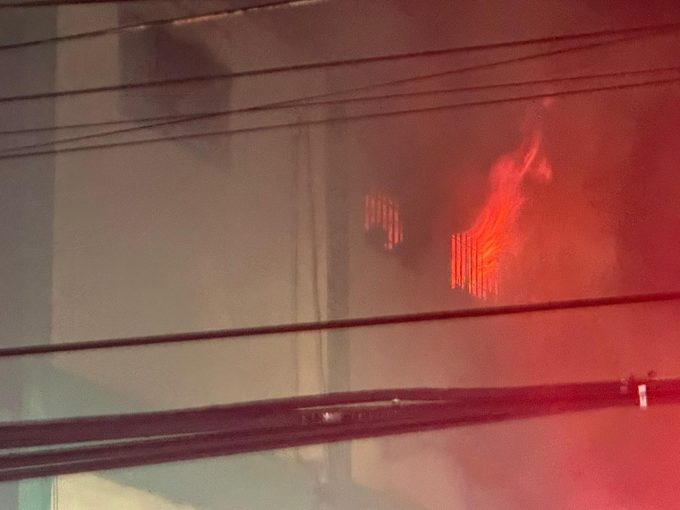 Miembros del Cuerpo de Bomberos dan asistencia a gatitos tras incendio en Ferretería San Miguel