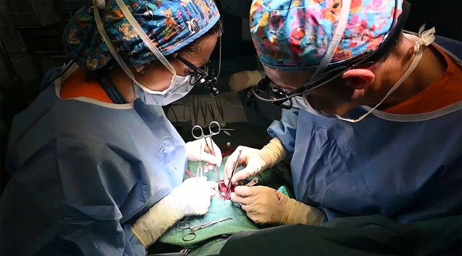 El Hospital General Universitario Gregorio Marañón ha dado de alta a la pequeña Mariami, primera bebé menor de un año en recibir un trasplante parcial de corazón en Europa. 