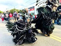 Una nueva generación abraza con fuerza el Carnaval Vegano