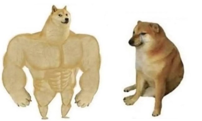 Jueves de #TBT: Los 10 memes que se hicieron virales en 2020 | 5 | Jueves de #TBT: Los 10 memes que se hicieron virales en 2020 - Noticias de hoy en República Dominicana | De Último Minuto