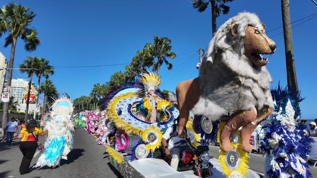 Comparsas y personajes de todo el país deslumbran en el Desfile Nacional de Carnaval 2026 | 7 | Comparsas y personajes de todo el país deslumbran en el Desfile Nacional de Carnaval 2026 - Noticias de hoy en República Dominicana | De Último Minuto